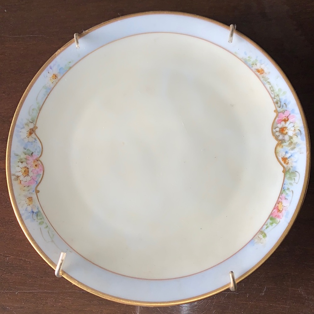 Vintage Thomas Bavaria Collector’s Hand Painted Plate
